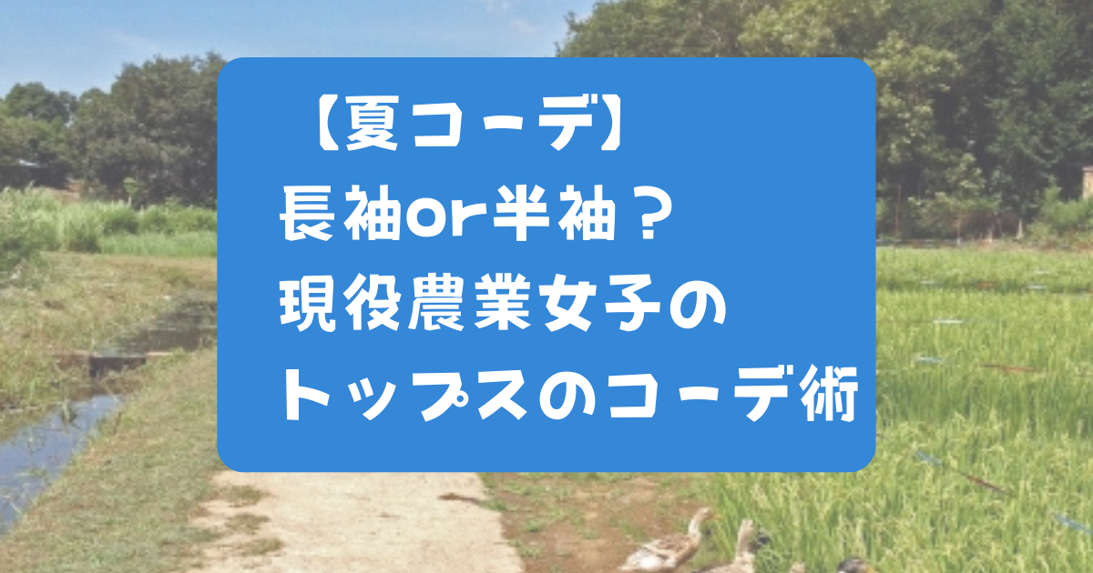 【夏コーデ】現役農業女子の夏の袖問題｜長袖？半袖？重ね着？トップスのオススメコーデ大公開！のアイキャッチ画像